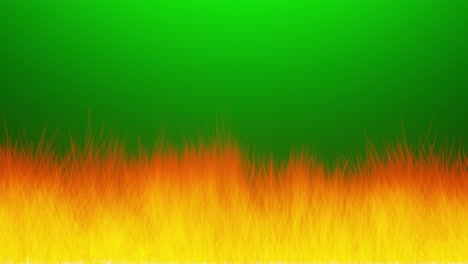 abstract fire in motion on a green background. wall of fire