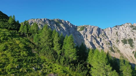 antena a lo largo de la línea de árboles del bosque con la cresta de la montaña en austria en segundo plano.