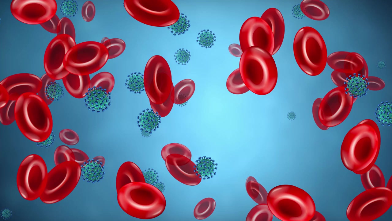 Animated red blood cells and green virus particles drift across a blue background in loop.