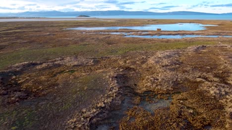 Hermosa-Antena-De-Un-Pantano-En-La-Patagonia-En-El-Borde-Del-Lago-Argentina-El-Calafate-Argentina-1