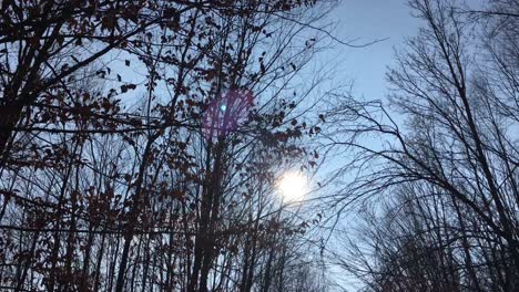 Wandern-Auf-Einer-Waldstraße-Mit-Der-Sonne-Am-Himmel-Und-Dem-Sonnenlicht,-Das-In-Der-Frühen-Frühlingssaison-Durch-Die-Äste-Dringt