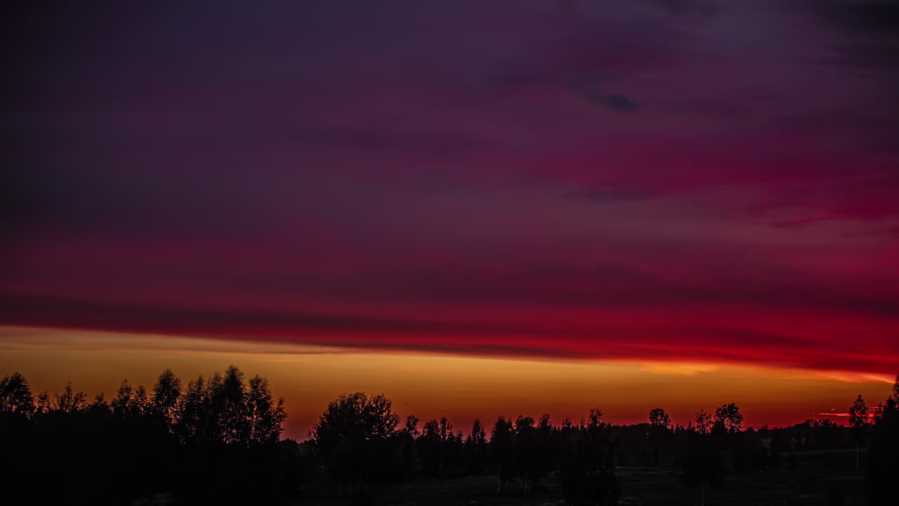 toma en ángulo bajo de una nube oscura que pasa sobre la vegetación verde en un lapso de tiempo durante la noche