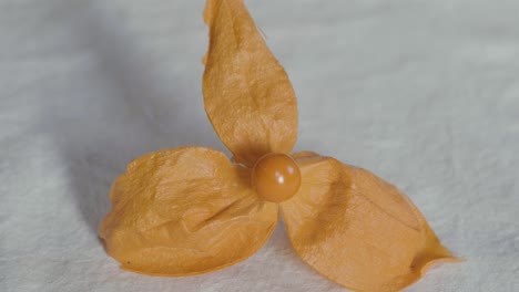 a chinese lantern is opened revealing the fruit and placed on a white tablecloth, flower and fruit