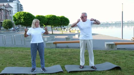 Active Elderly Family Couple Practicing Fitness Training while Standing on a Rubber Mat Active Elderly Family Couple Practicing Fitness Training while Standing on a Rubber Mat a Senior Man and a Woman are Exercising on a Green Lawn in a Park