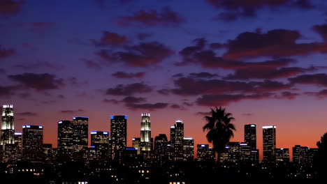 city skyline at twilight with illuminated buildings and a palm tree silhouette