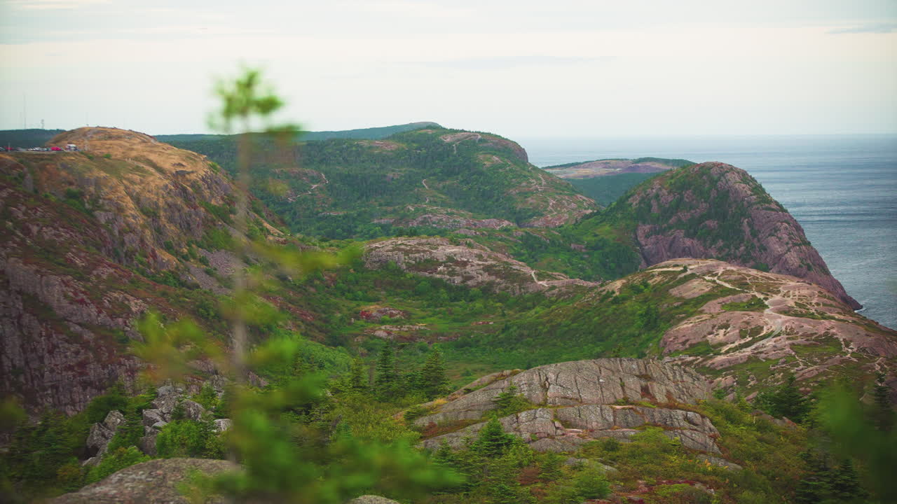 rack focus from mountain in background over ocean focusing onto single pine branch. St Johns Newfoundland. Canada