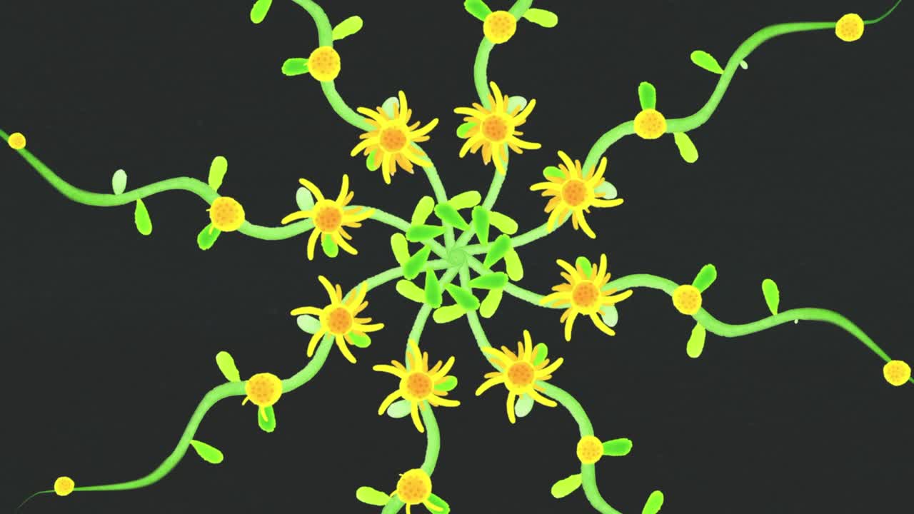 Abstract Floral Mandala Pattern