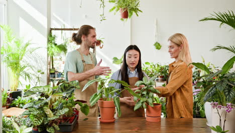 plant shop consultation