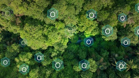 dioxygen symbol inside hexagon appearing over the trees in the forest