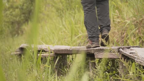 hiker is walking across the small wooden bridge amongst grasses