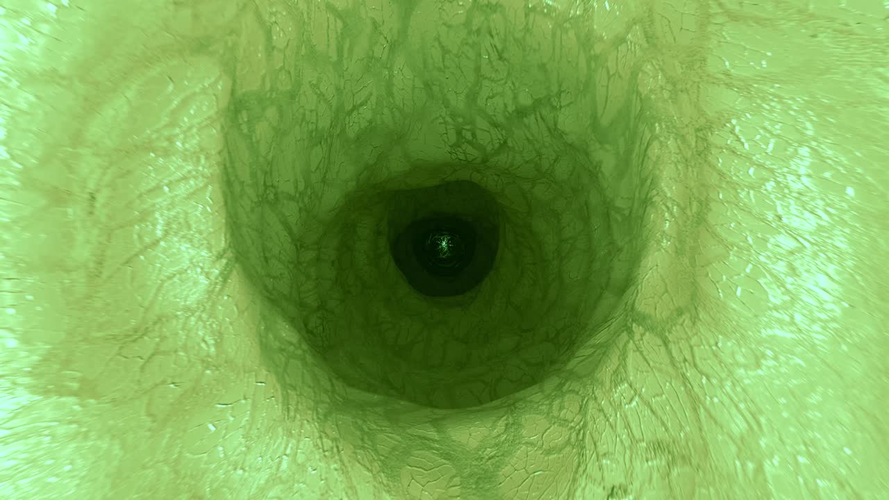 alien endoscopio entrañas halloween ciencia paranormal criatura sonda anal ufo 4k