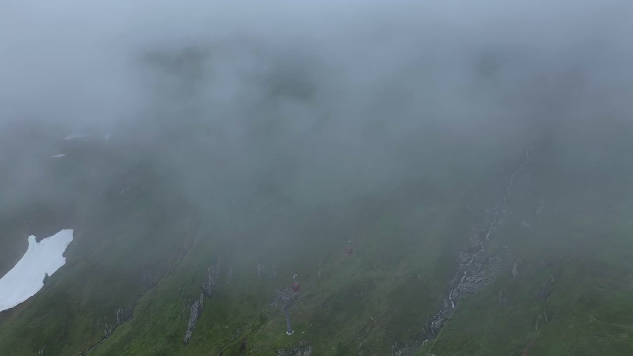 안개가 사라지면서 식물과 바위가 아래 땅에서 드러납니다.