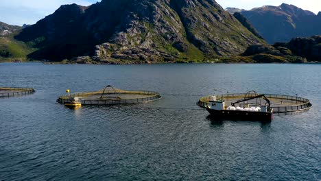 aerial footage farm salmon fishing in norway