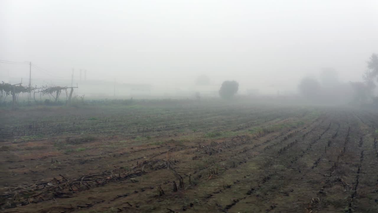Morning Fog Over Rural Fields Near Oporto, Portugal