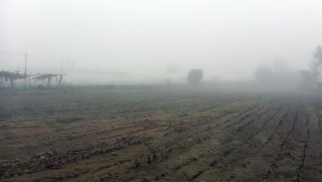 Morgennebel-über-Ländlichen-Feldern-In-Der-Nähe-Von-Porto,-Portugal