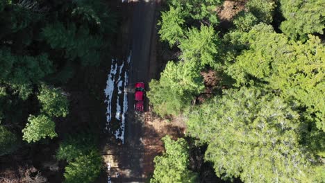 Lastwagen-Mit-Mountainbikes-Fahren-Zum-Oberen-Ende-Des-Weges