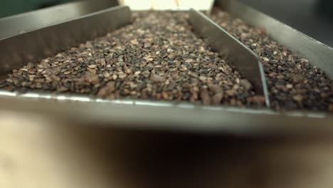 part of automated production line where seeds pass sorting stage in factory