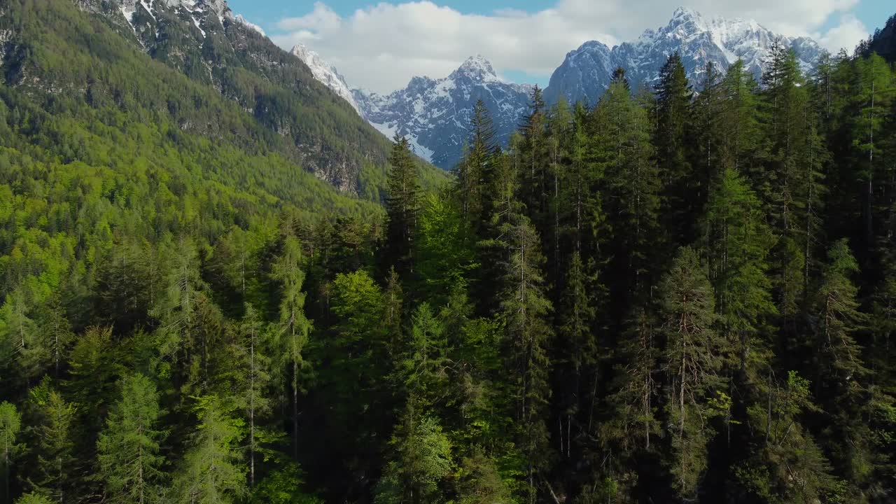 vista aérea de un dron volando sobre las copas de los árboles del valle cerca de los picos de las montañas alpinas en primavera. árboles exuberantes y soleados. imágenes de video con video de stock de drones