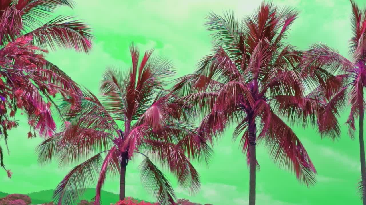 Red palm trees on green sky