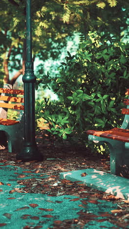 park bench in sunny autumn day