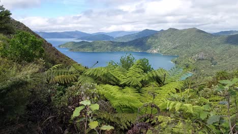 the view of resolution bay from the ship cove saddle on the queen charlotte track in the south island of new zealand