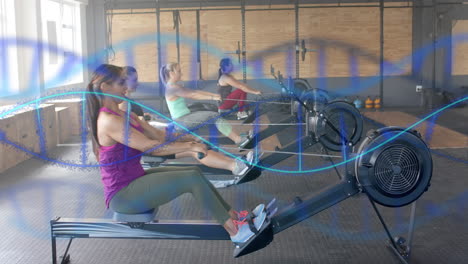 animation of dna strands over diverse women training on rowing machines at gym