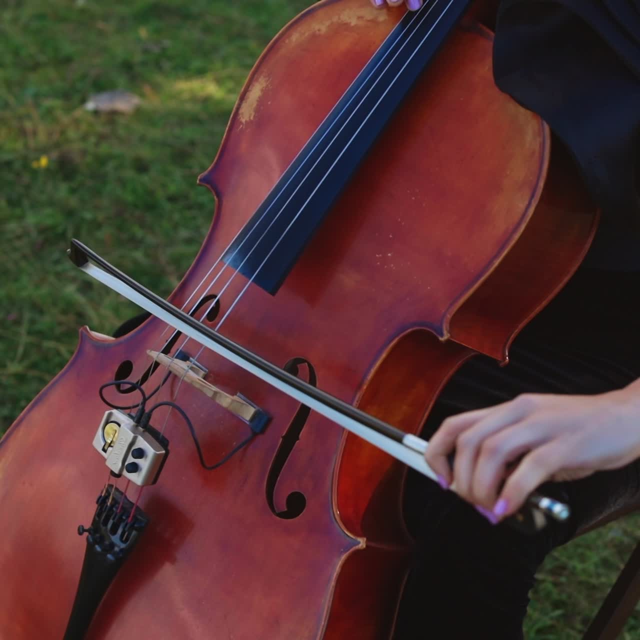 Young woman sitting on the chair at grass lawn playing violoncello. Dark-haired woman performing classical music outdoors