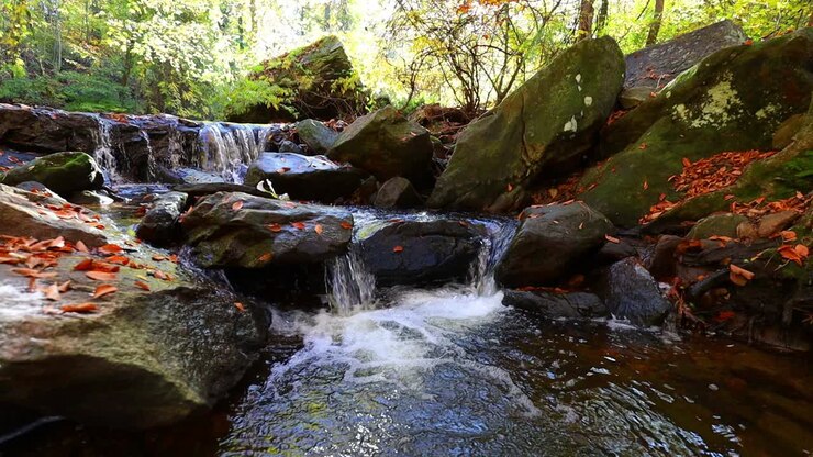 Slow motion view of small waterfall cascading over rocks with colorful red and orange leaves of autumn