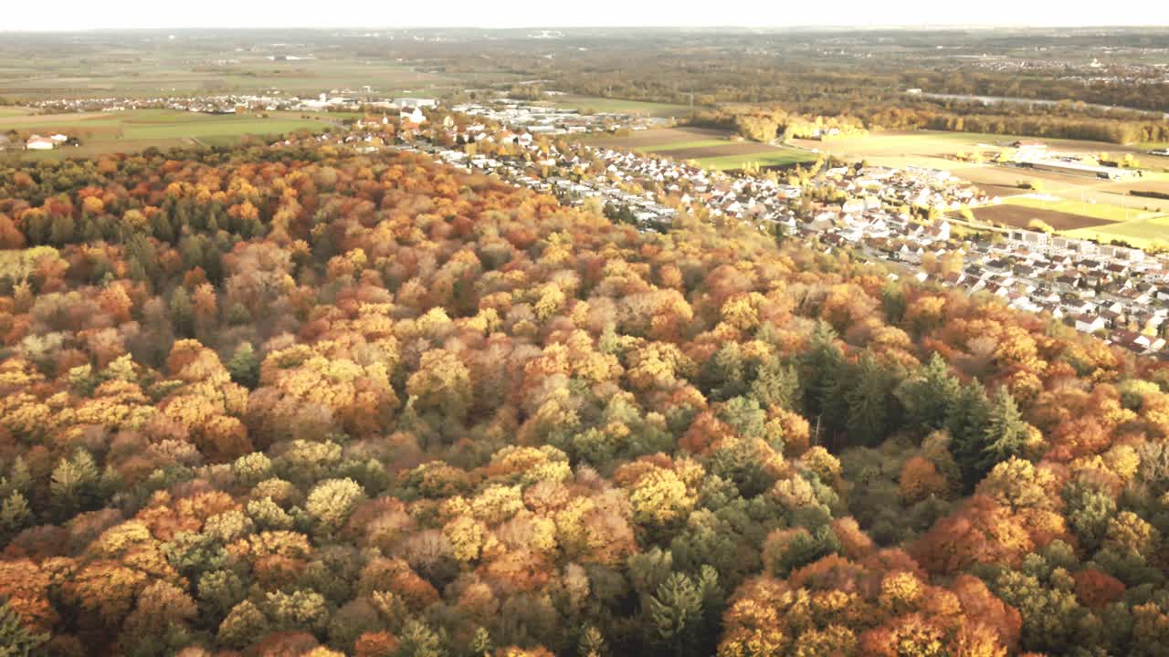 Camera glides back from luminous woodland, slowly unveiling a sunlit village and surrounding fields under warm evening skies