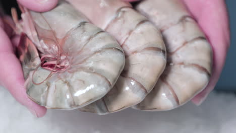 image of hands holding frozen shrimps from seafood market