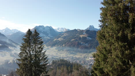 Aerial-past-trees-overlooking-beautiful-town-in-valley