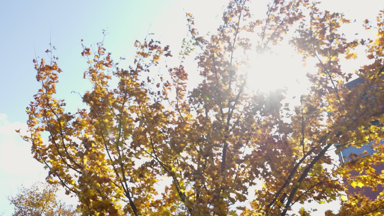 오타루 최고의 뷰