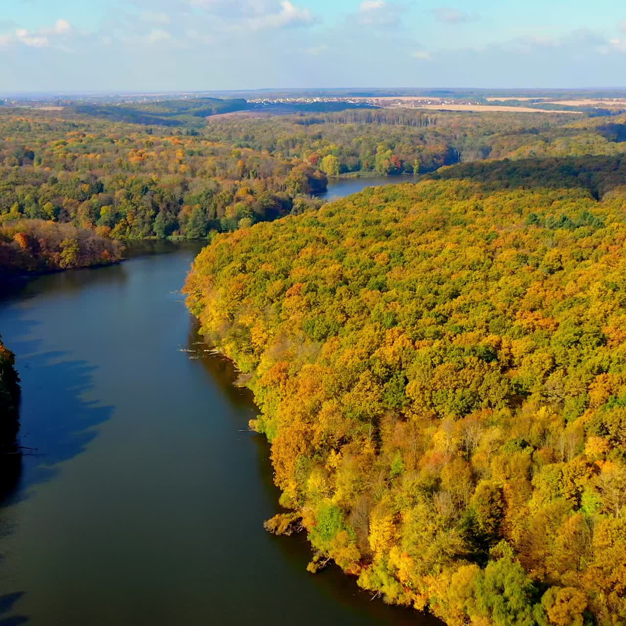 Autumn season river forest sceneries. Yellow forest aerial top view