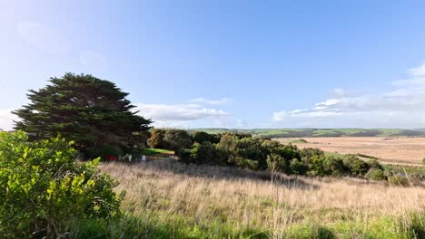 beautiful landscapes and greenery in victoria, australia