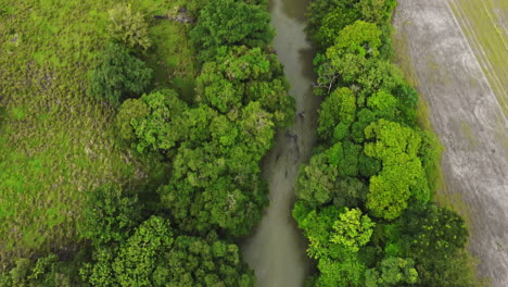 Luftaufnahme-Der-Wildnis-Von-Costa-Rica,-Schönheit,-Vegetation,-Grün,-Natürlich,-Unverschmutzt,-Drohne-über-Mittelamerika