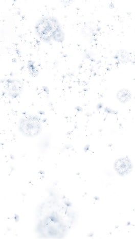 dandelion wind blow background. soft blue silhouette with flying dandelion buds on a white. abstract flying seeds. looped. vertical video.