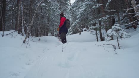 Hiker-And-Alaskan-Malamute-Walking-On-Snowy-Downhill-At-Winter-Through-Forest