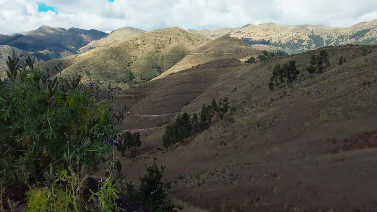 Close-up of native plants with Andes mountains near Cusco, Peru. Trek leading to Huanacaure ruins, old inca road and Cusco birthplace