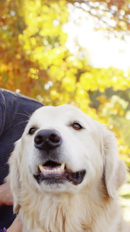 family with dog outdoors