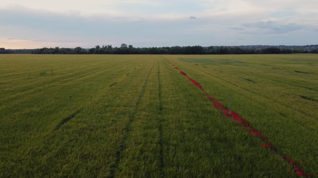 Drohnenaufnahme, die über üppig grüne Felder und farbenfrohe Ackerflächen bei Aranjuez, Spanien, fliegt. Agrarlandschaft mit entfernter Stadt und bewölktem Himmel.