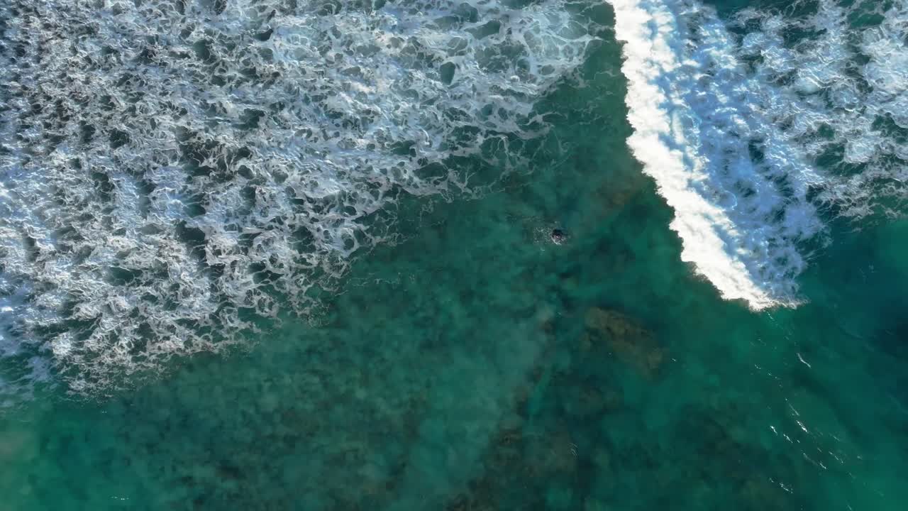 Wave riding water sport surfing Mediterranean sea coastline, aerial drone