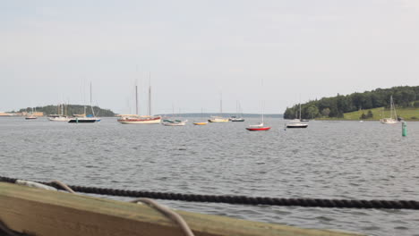 lunenburg nova scotia harbour in the summer