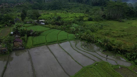 rice terraces and farm land in the east of bali on a cloudy morning, aerial