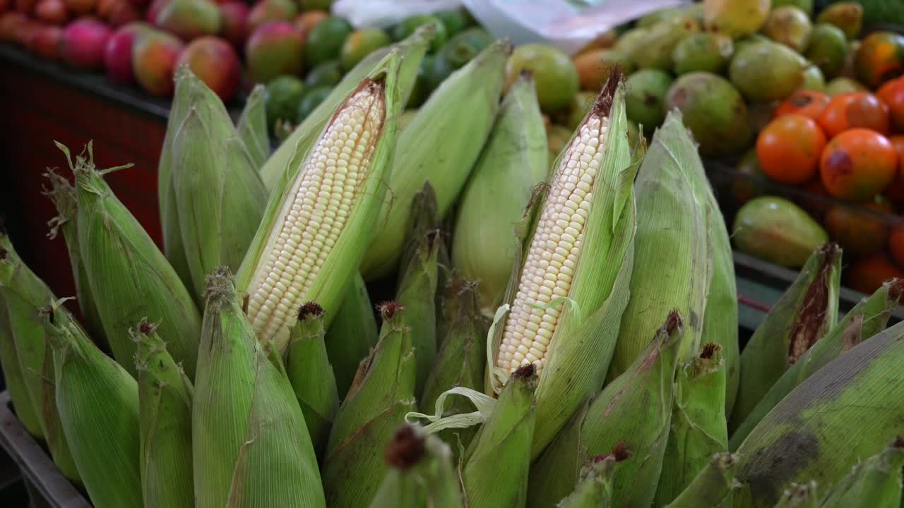 Pile of Freshly Harvested Corn Stacked at Local Farmers Market. Harvest Concept Thanksgiving
