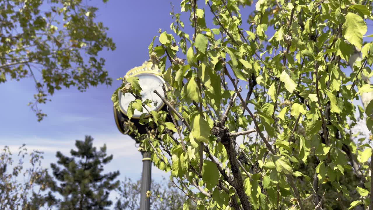 루마니아 부카레스트 의 유니리 광장 에 있는 시계 의 공개