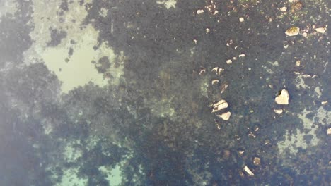 Aerial-downward-forward-view-of-clear-waters-and-rock-pools-in-Devon-England