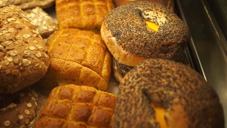 assortment of freshly baked breads and bagels