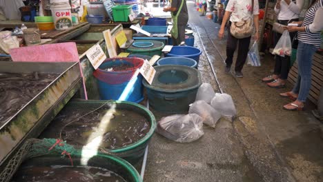 アジア・タイの地元の汚い汚い臭い魚の市場