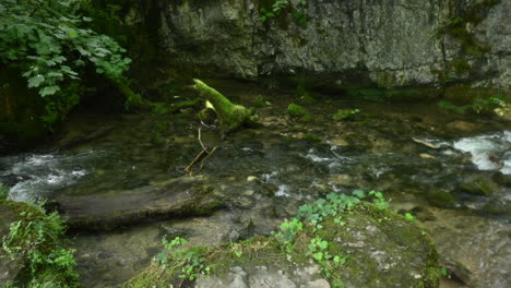 Voll-Fließender-Bach-Mit-Kleinem-Wasserfall-Und-Untergetauchtem-Stamm-Im-Sommer,-Klares,-Gesundes-Wasser-Und-Viel-Grünpflanzenwachstum