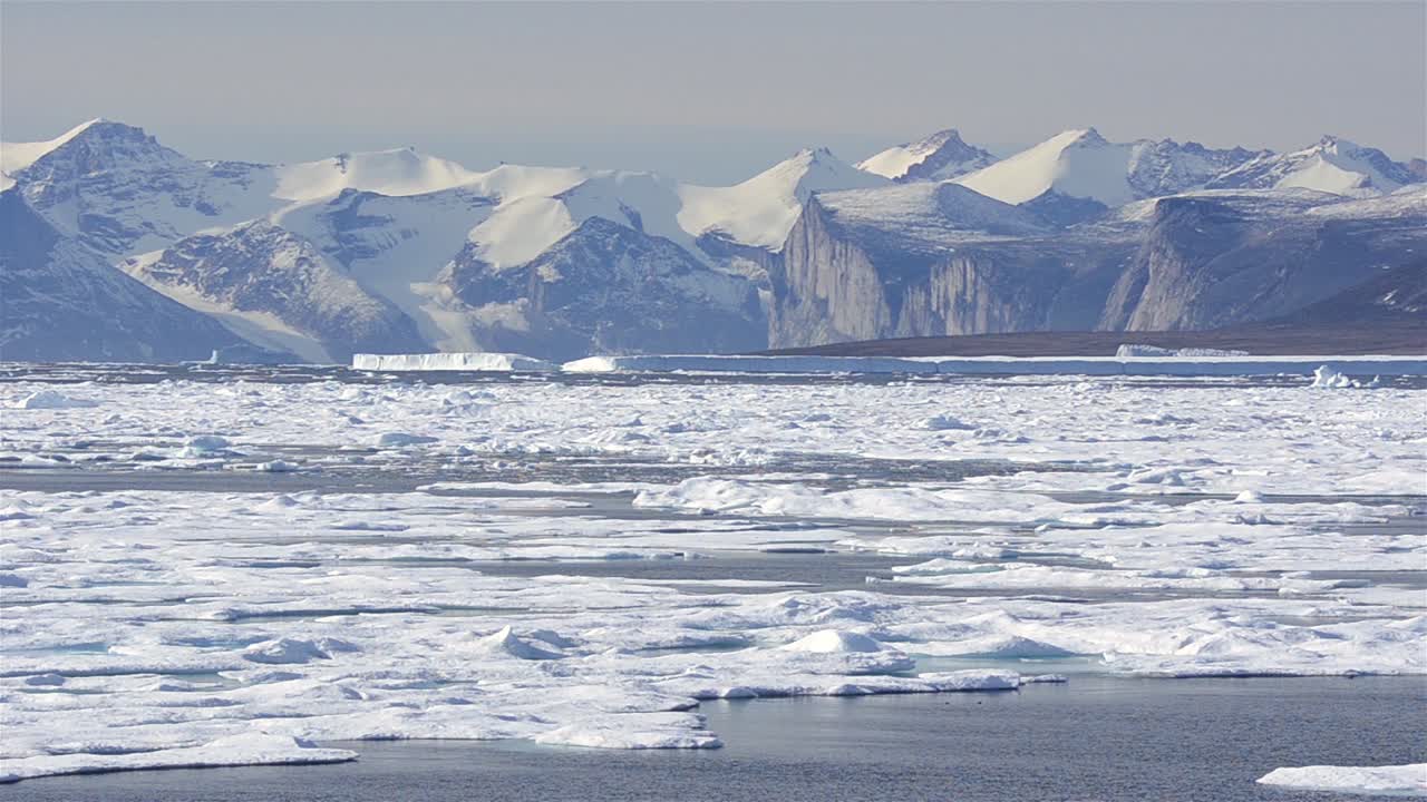 헤클라에서 북극곰을 찾고 캐나다 배핀 섬 누나 부트 준주에서 그리퍼 트로프를 찾고 바다 얼음을 지나 표류